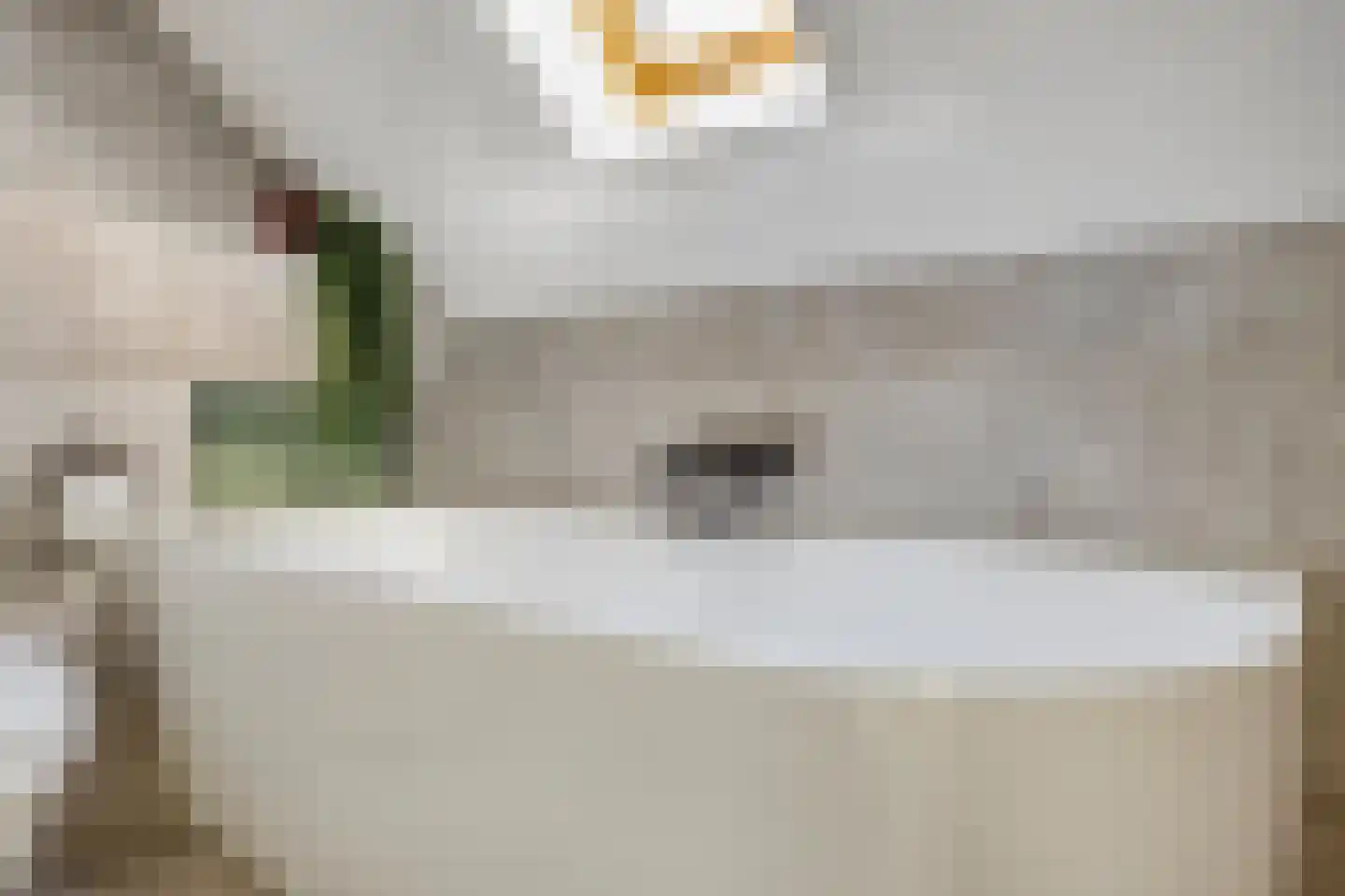 de Donk 8 Oirschot thumbnail 30