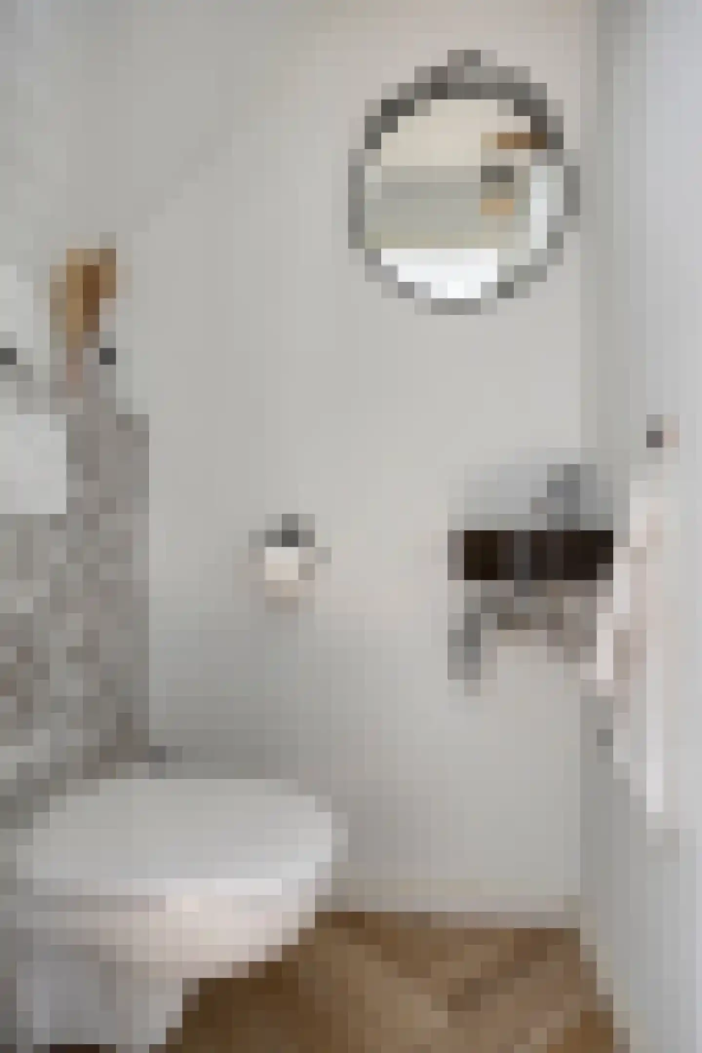 de Donk 8 Oirschot thumbnail 8