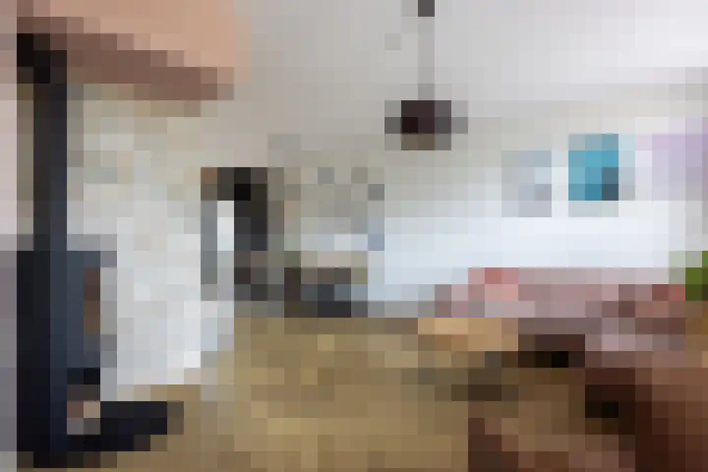 De Doolhof 1 Kapelle thumbnail 10