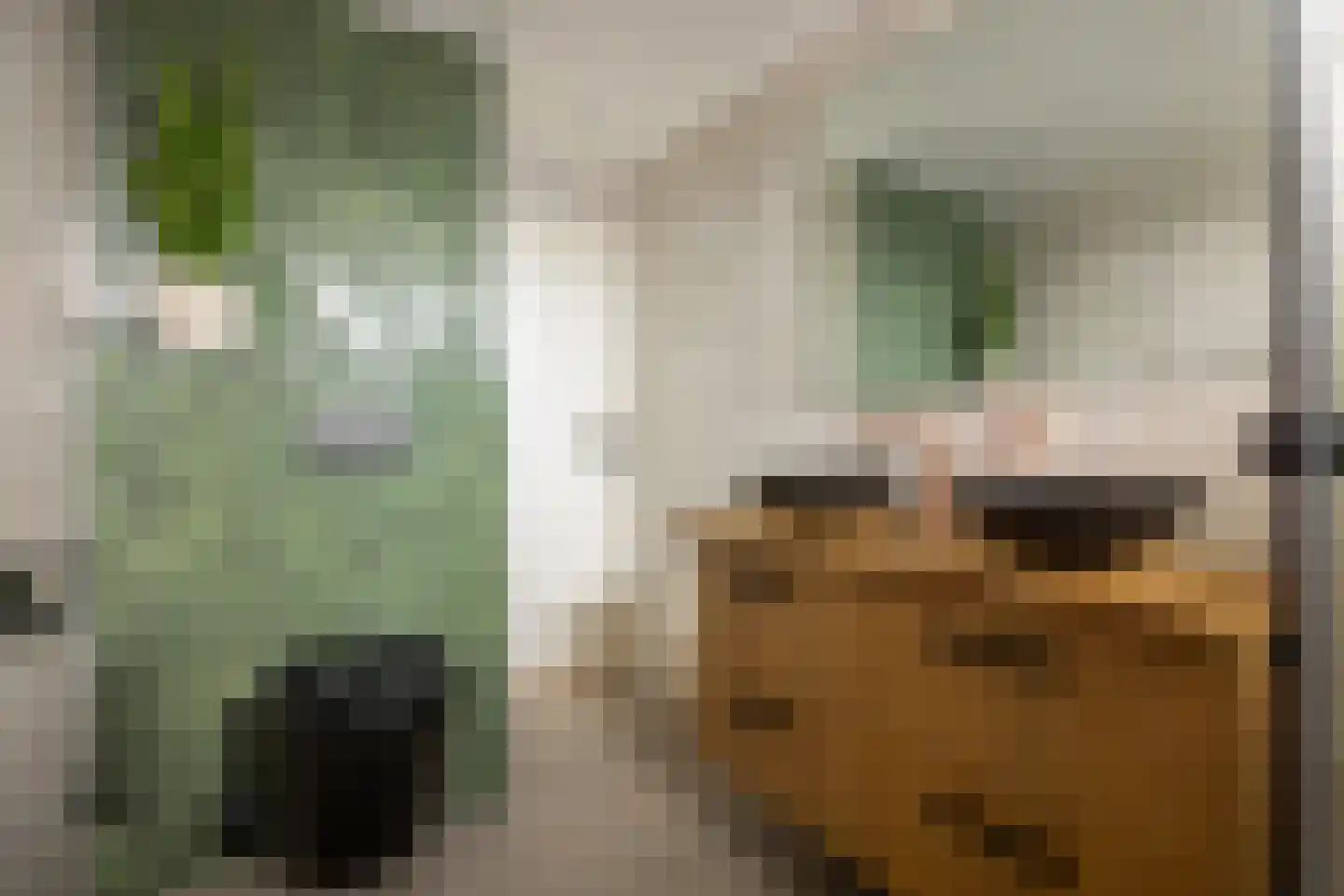 De Doolhof 1 Kapelle thumbnail 35