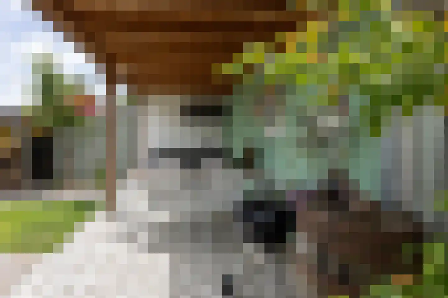 De Doolhof 1 Kapelle thumbnail 53