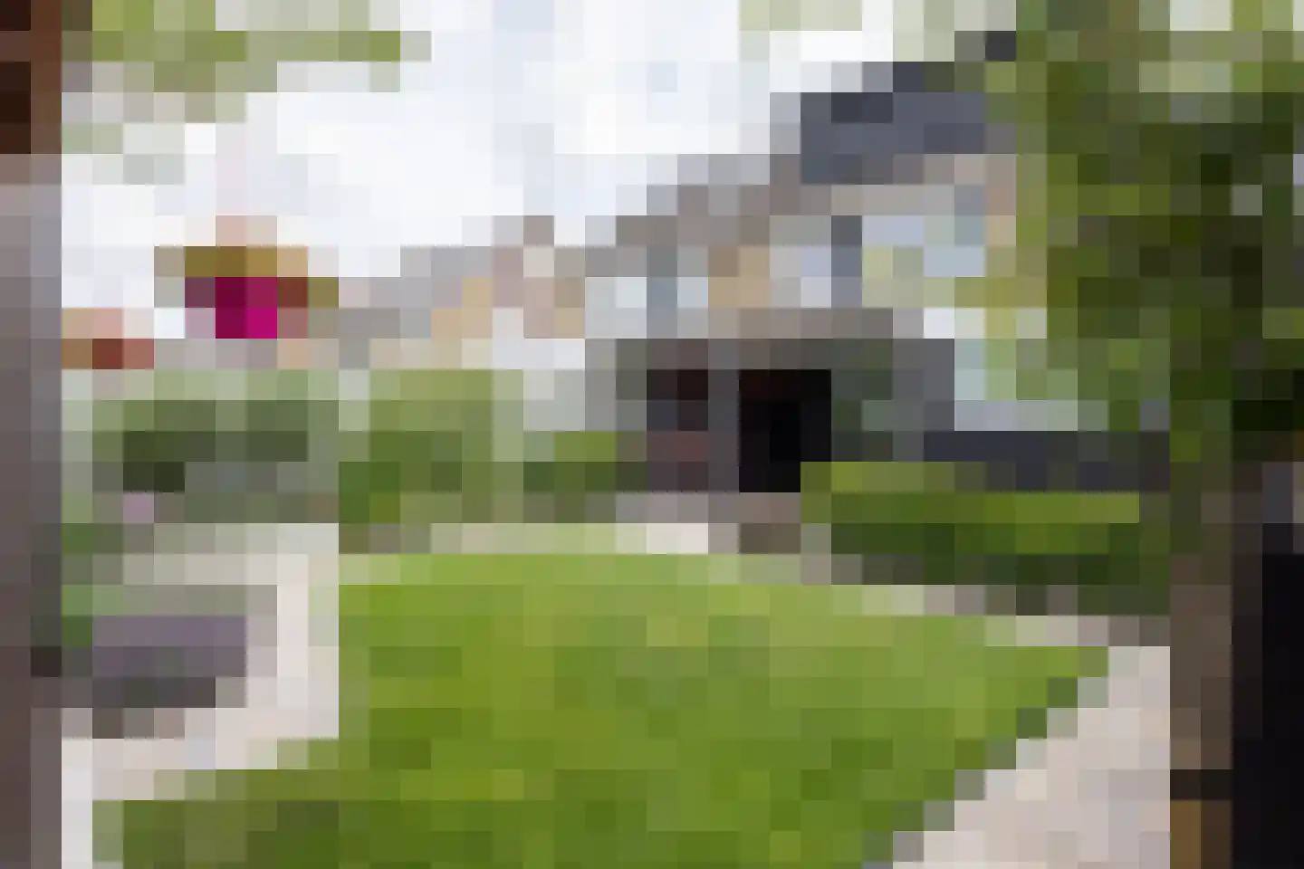 De Doolhof 1 Kapelle thumbnail 6