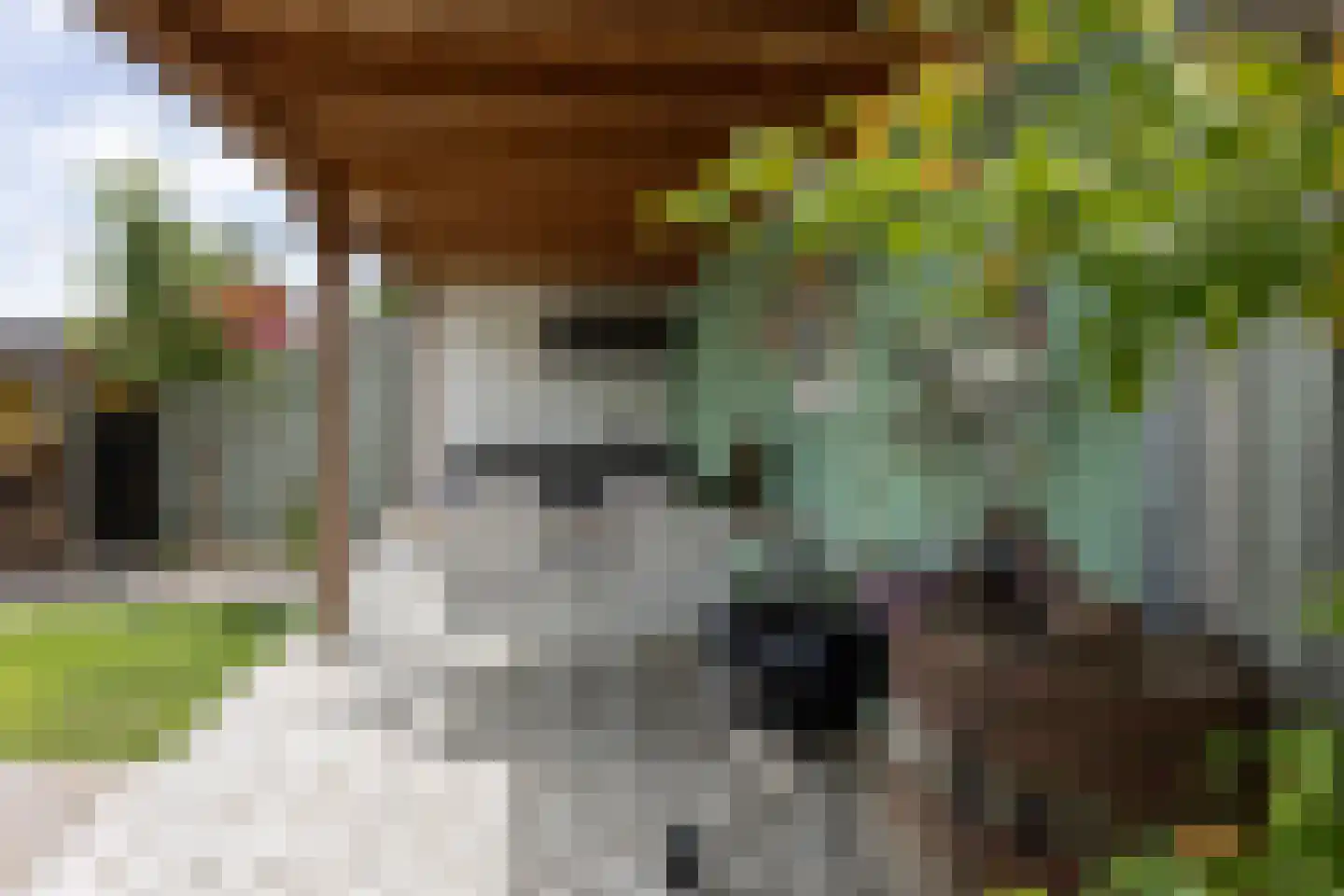 De Doolhof 1 Kapelle thumbnail 8