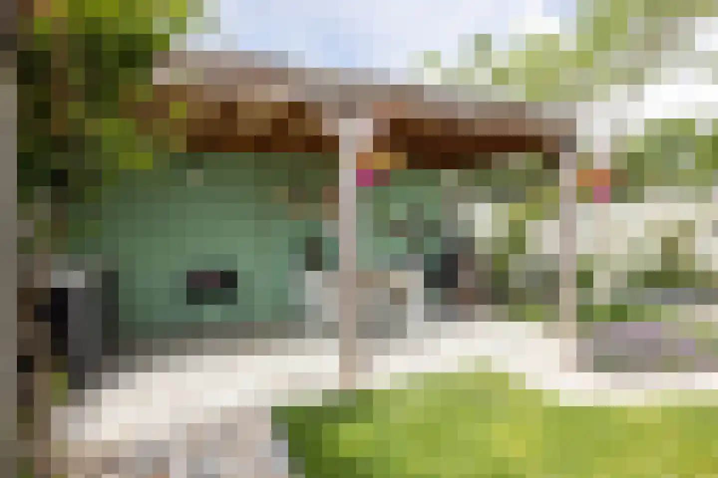 De Doolhof 1 Kapelle thumbnail 9