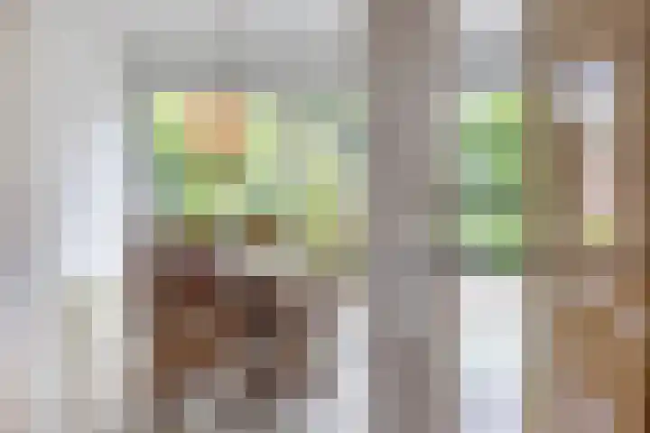de Doom 65 Roden thumbnail 16