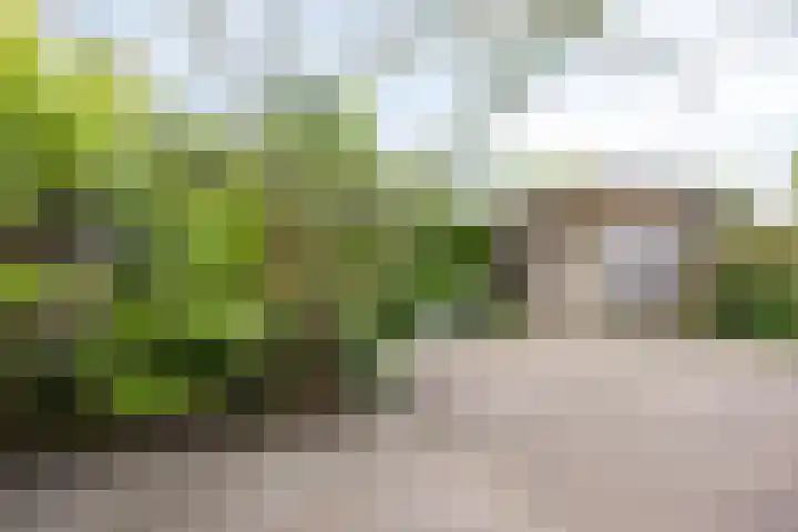 de Doom 65 Roden thumbnail 37