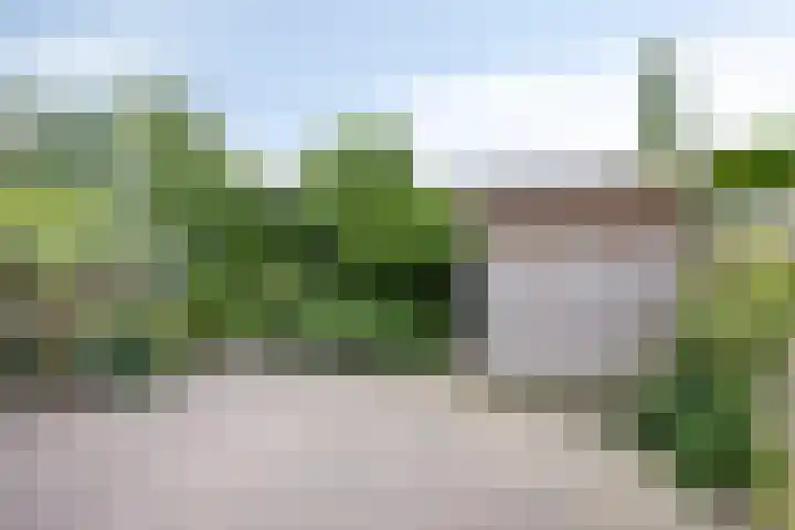 de Doom 65 Roden thumbnail 38