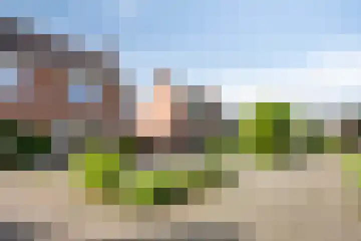 de Doom 65 Roden thumbnail 43