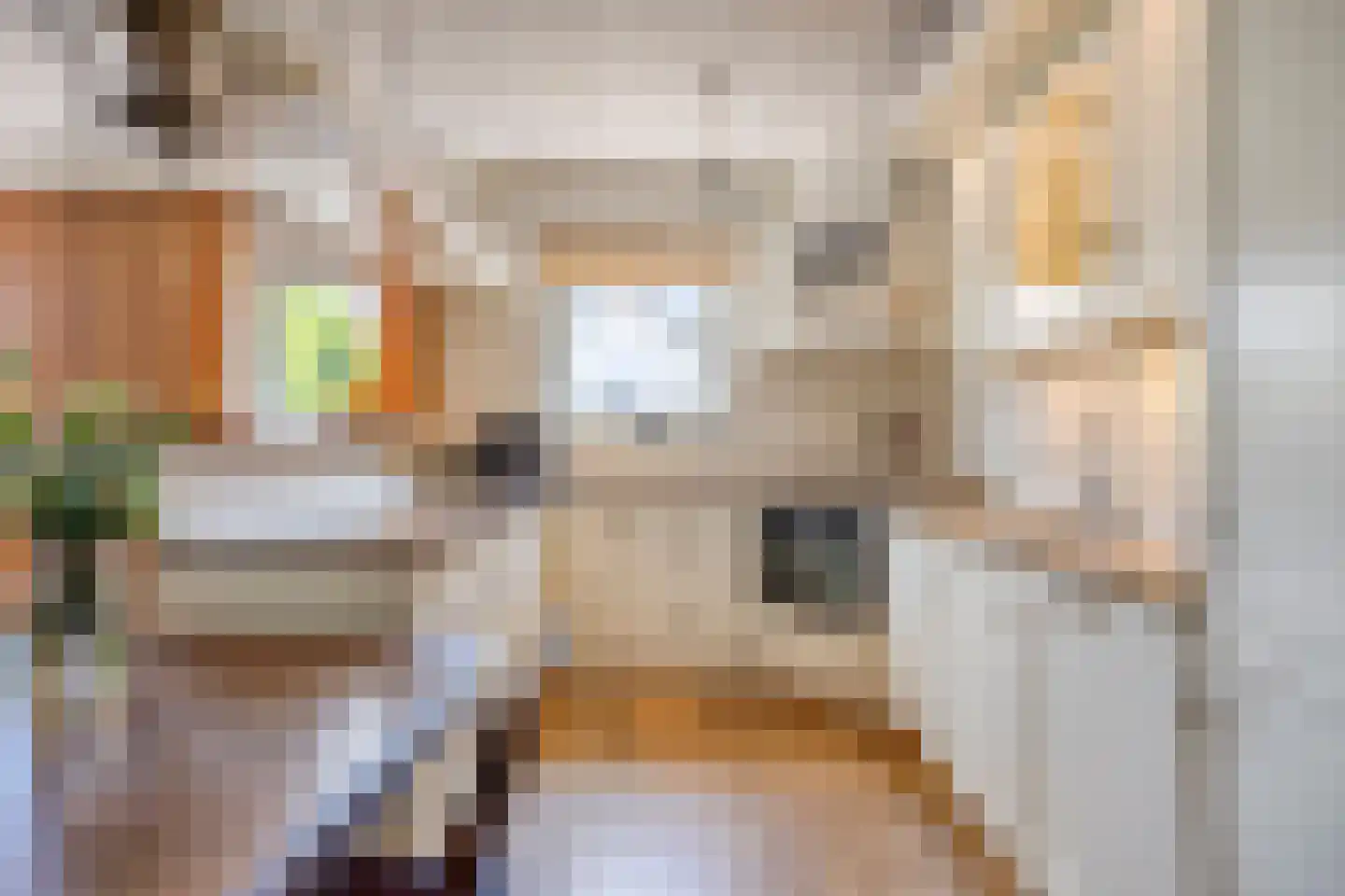 De Doorgang 5 Heeswijk-Dinther thumbnail 18