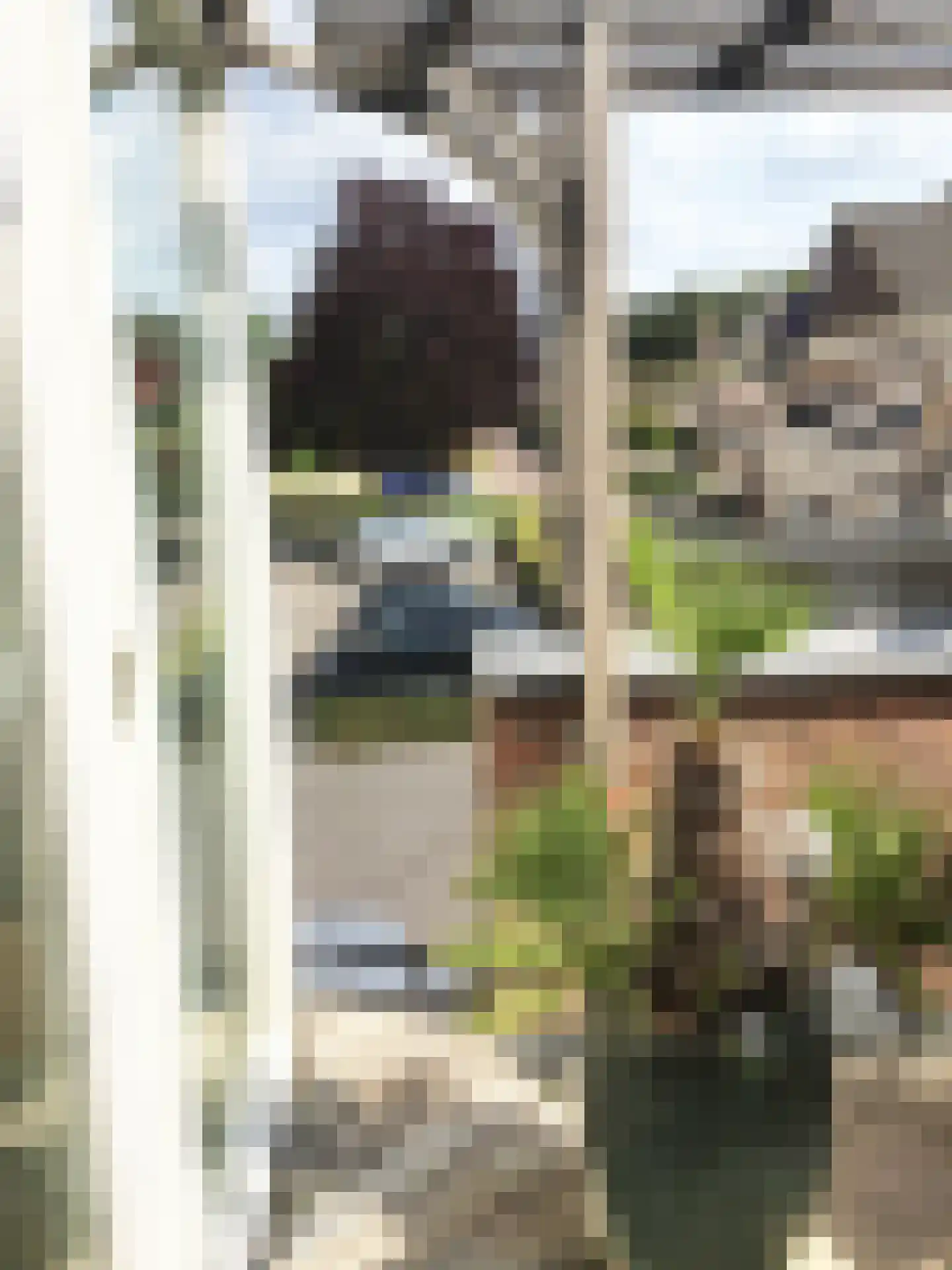 De Doorgang 5 Heeswijk-Dinther thumbnail 31