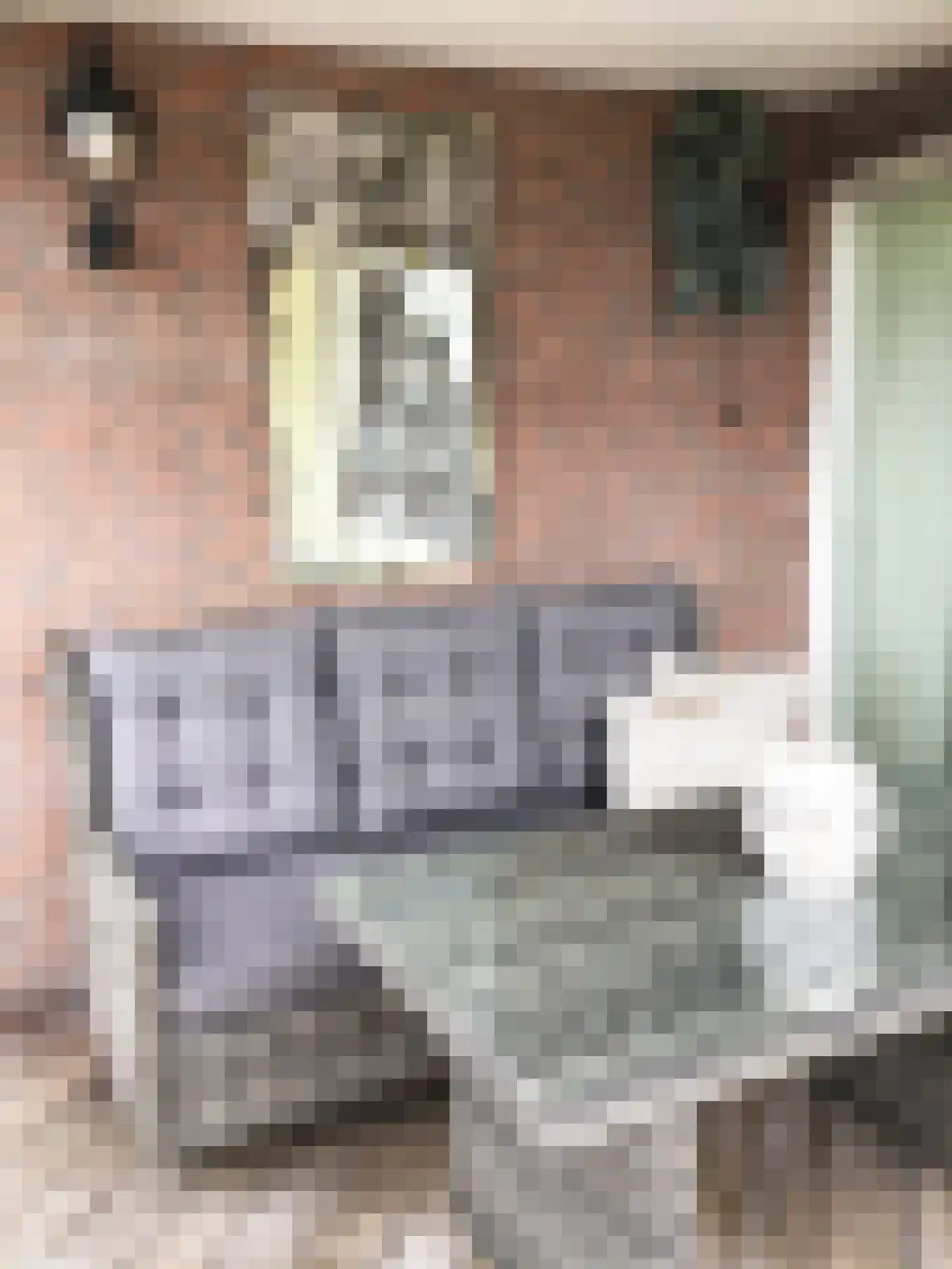 De Doorgang 5 Heeswijk-Dinther thumbnail 32