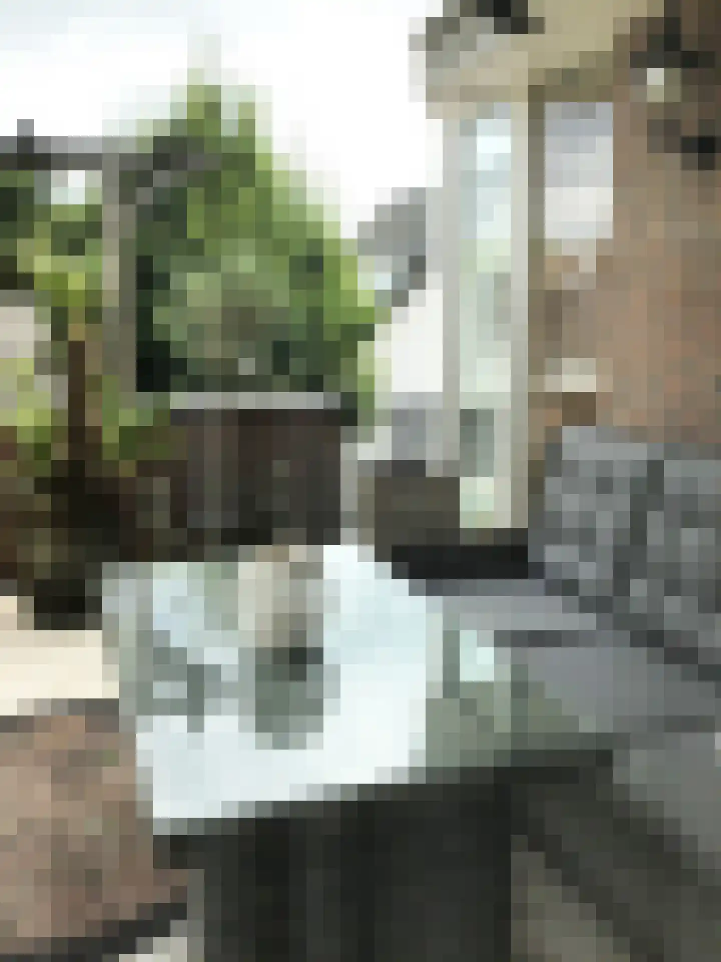 De Doorgang 5 Heeswijk-Dinther thumbnail 33
