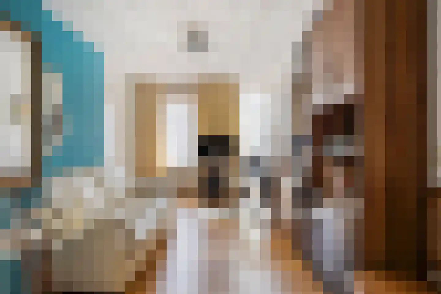 De Doorgang 5 Heeswijk-Dinther thumbnail 34