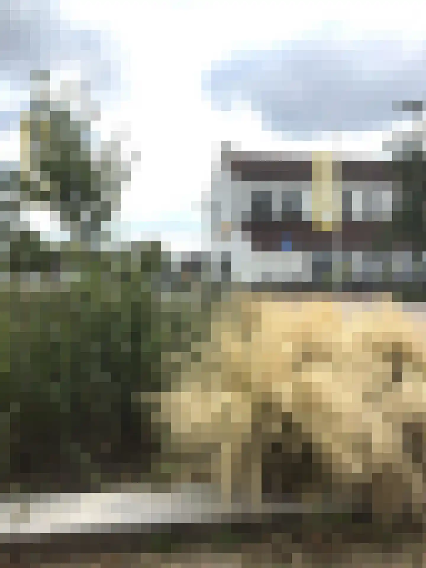 De Doorgang 5 Heeswijk-Dinther thumbnail 53