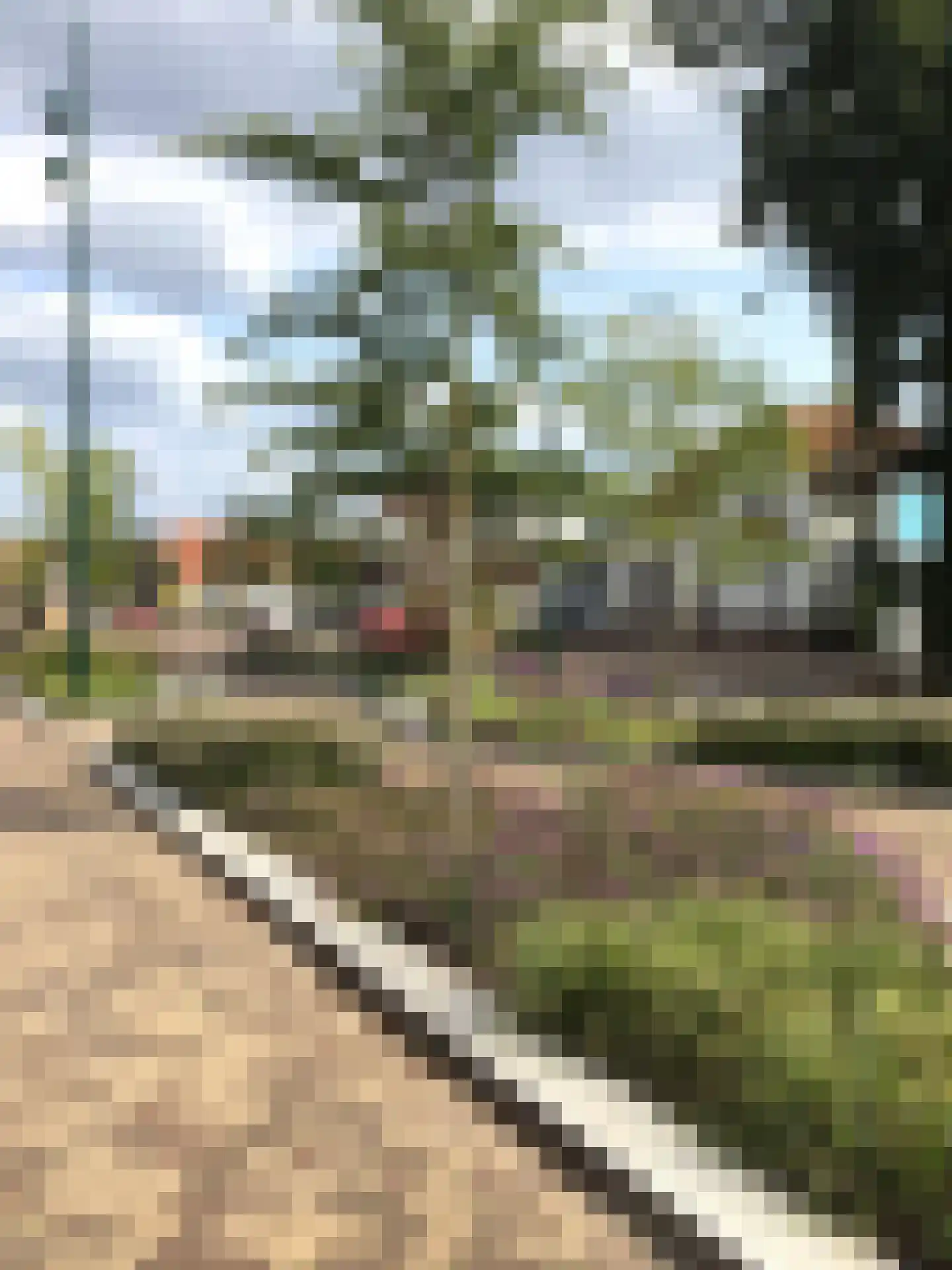 De Doorgang 5 Heeswijk-Dinther thumbnail 54
