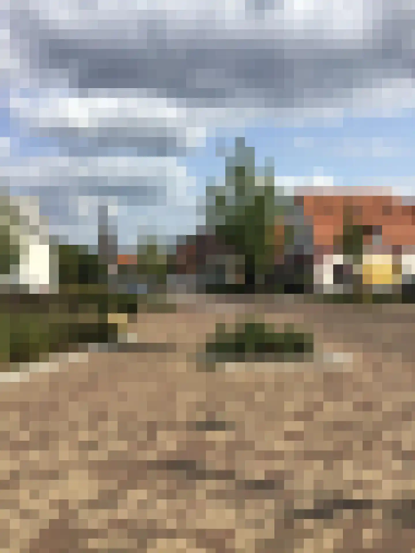 De Doorgang 5 Heeswijk-Dinther thumbnail 55