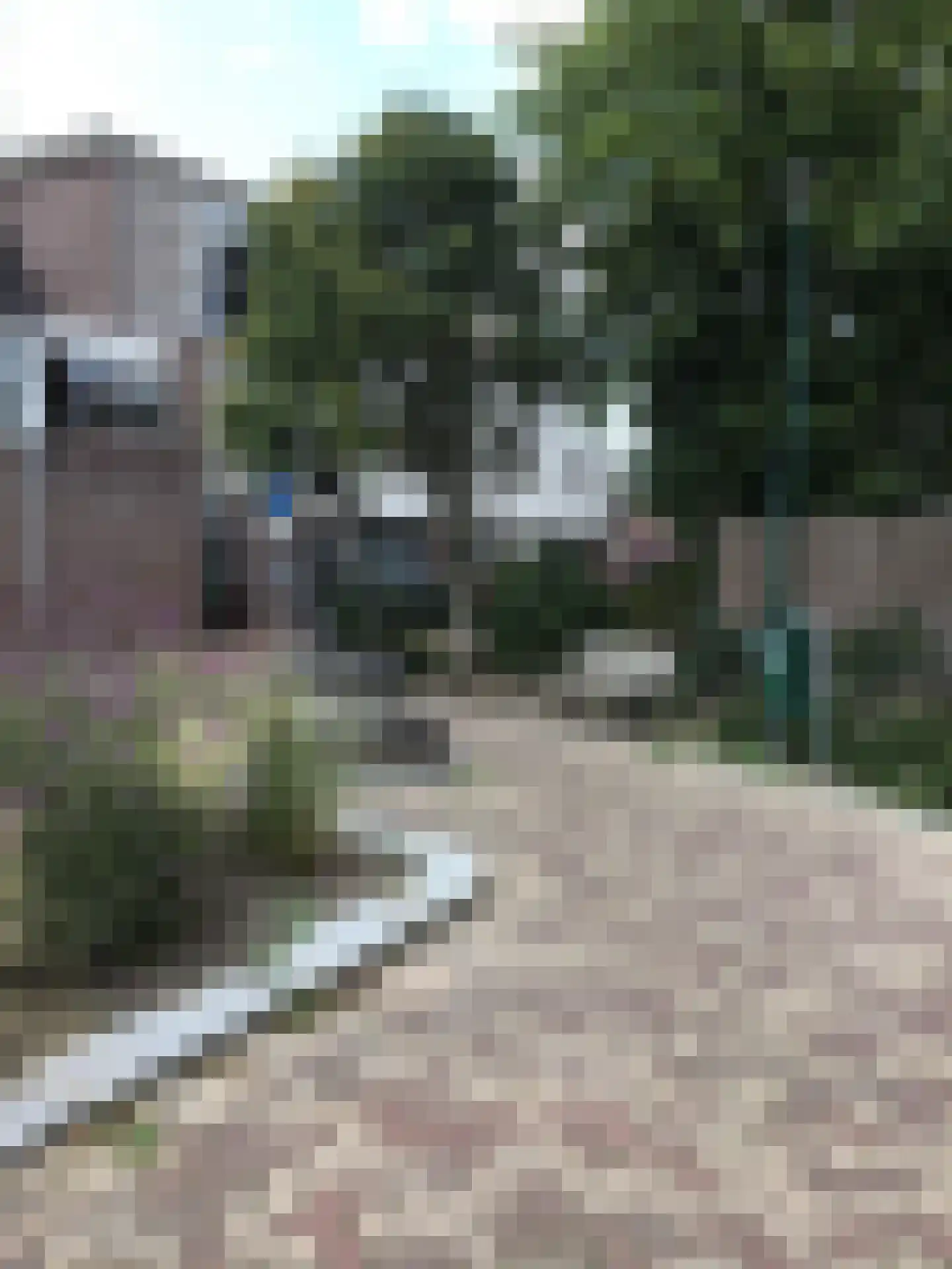 De Doorgang 5 Heeswijk-Dinther thumbnail 56