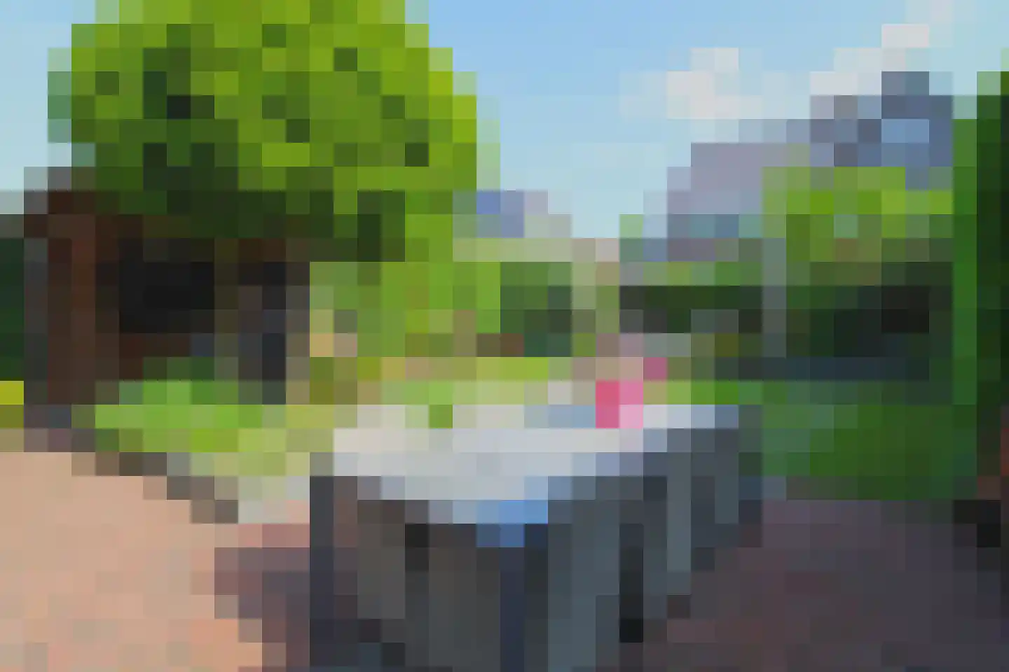 De Doorgang 5 Mill thumbnail 29