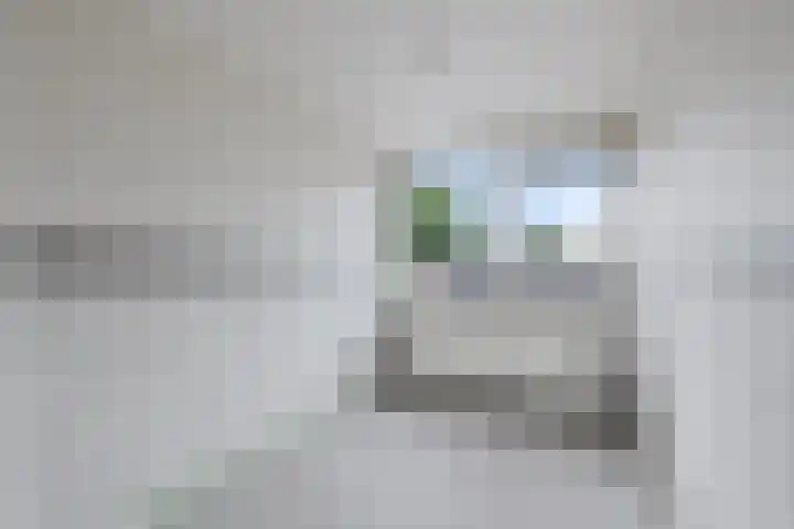 De Doorlaat 42 Zwartemeer thumbnail 15