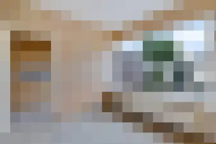 De Doorlaat 42 Zwartemeer thumbnail 7