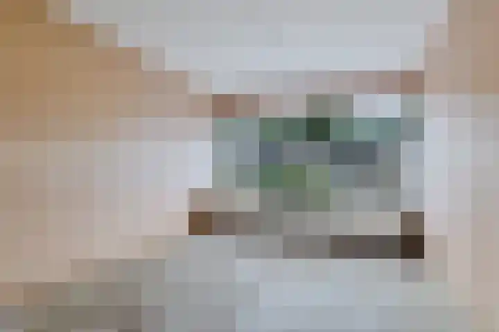 De Doorlaat 42 Zwartemeer thumbnail 8