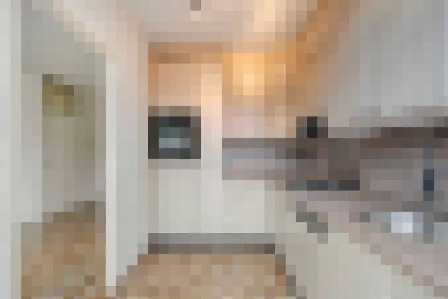 De Doorn 16 Nuenen thumbnail 10