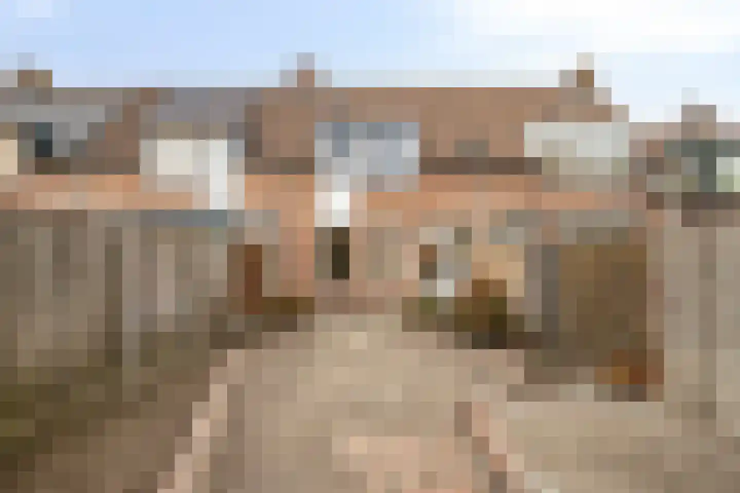 De Doorn 16 Nuenen thumbnail 24