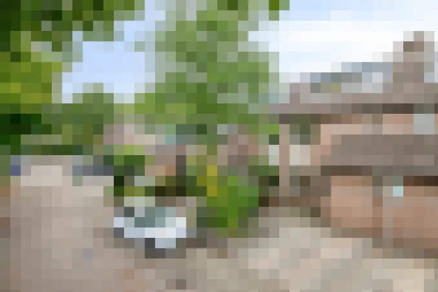 De Doorn 16 Nuenen thumbnail 26