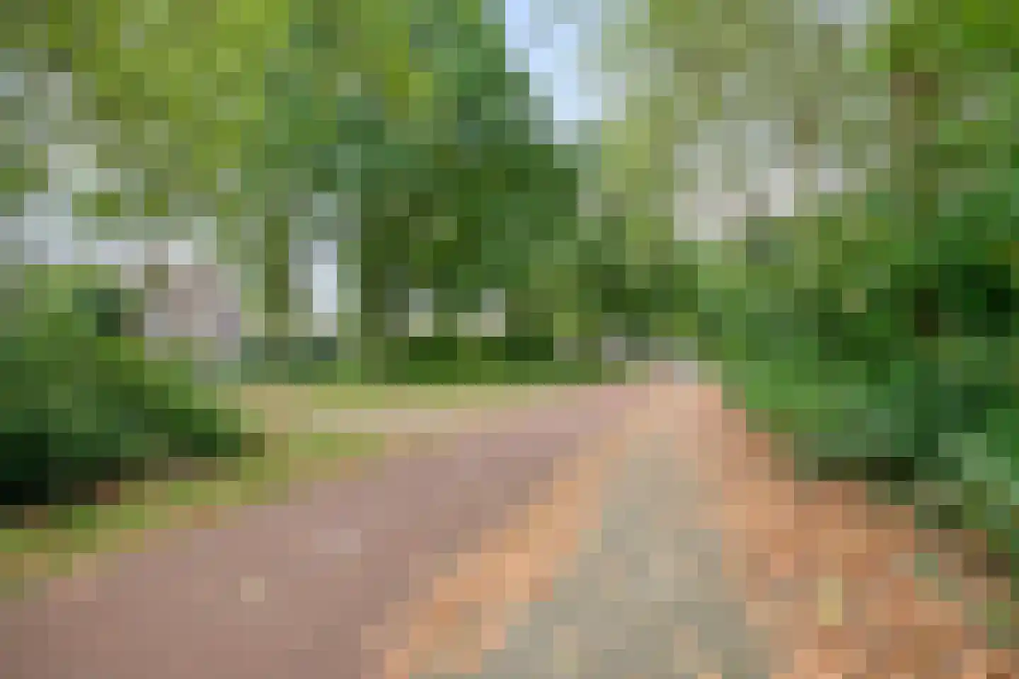 De Doorn 16 Nuenen thumbnail 27