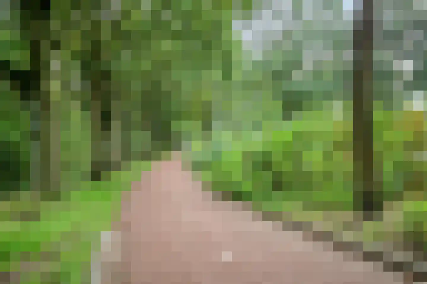 De Doorn 16 Nuenen thumbnail 28