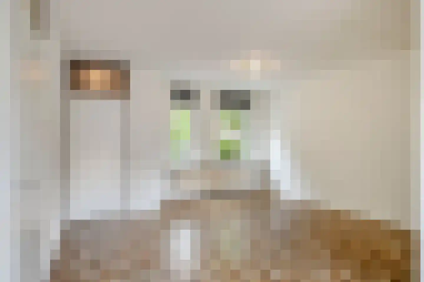 De Doorn 16 Nuenen thumbnail 6