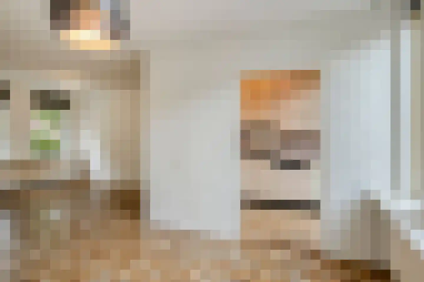 De Doorn 16 Nuenen thumbnail 9