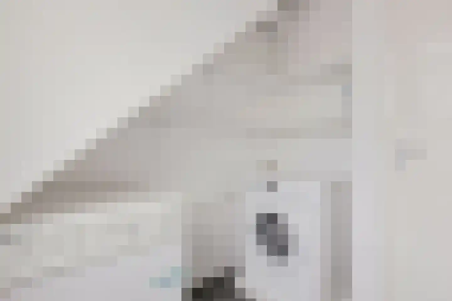 De Doorn 22 Nuenen thumbnail 22