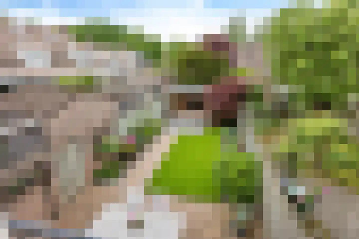 De Doorn 22 Nuenen thumbnail 23