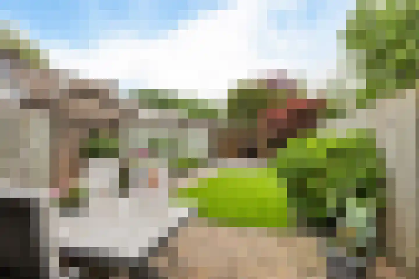 De Doorn 22 Nuenen thumbnail 24