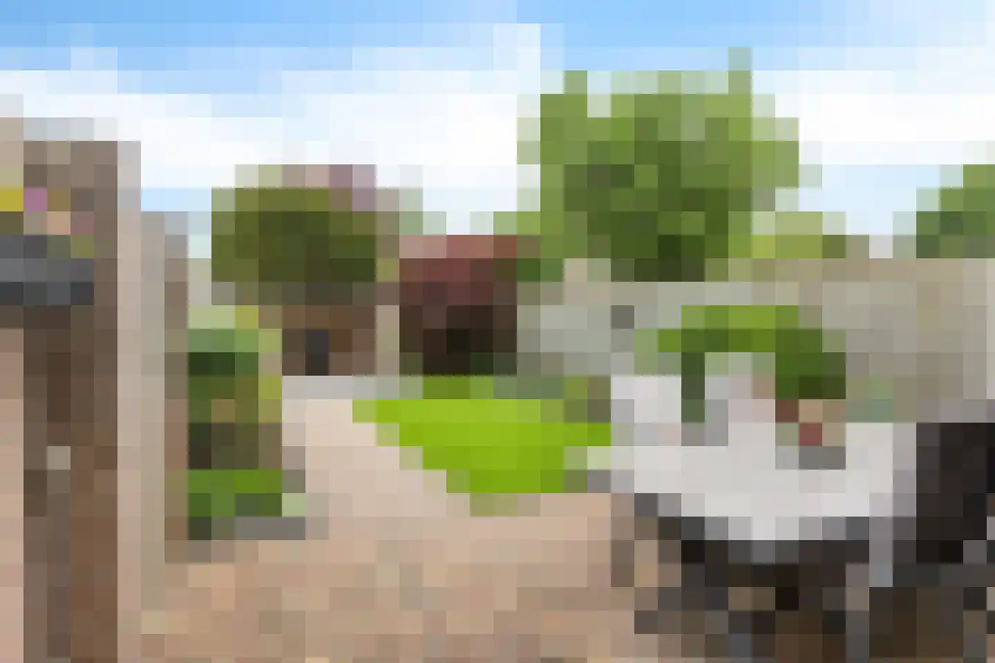 De Doorn 22 Nuenen thumbnail 28