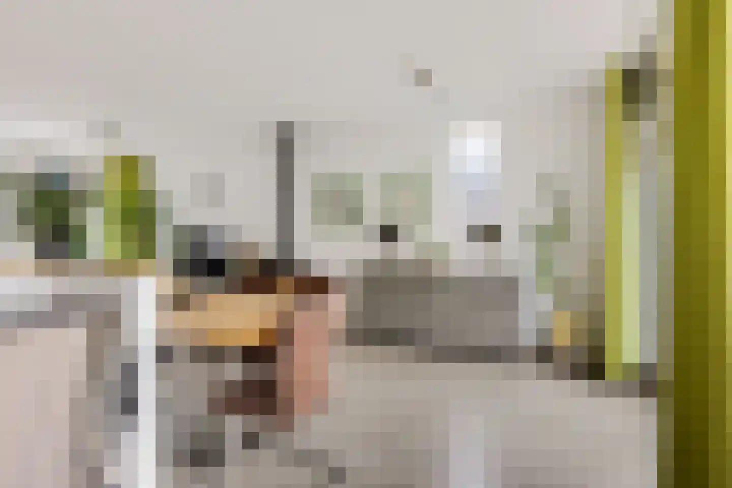 De Doorn 22 Nuenen thumbnail 7