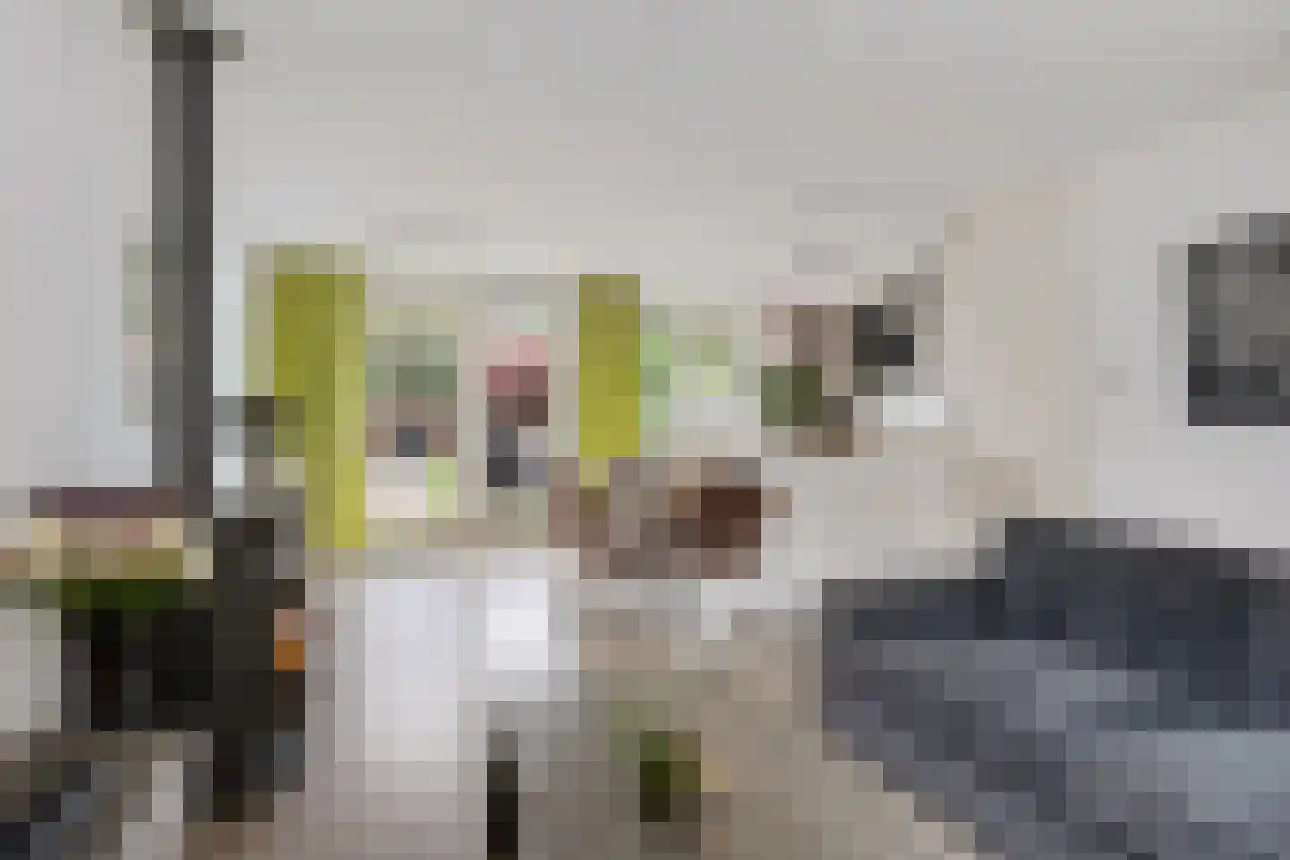 De Doorn 22 Nuenen thumbnail 8