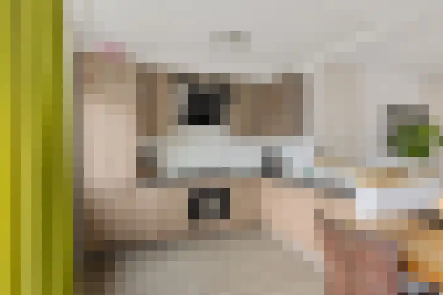 De Doorn 22 Nuenen thumbnail 8