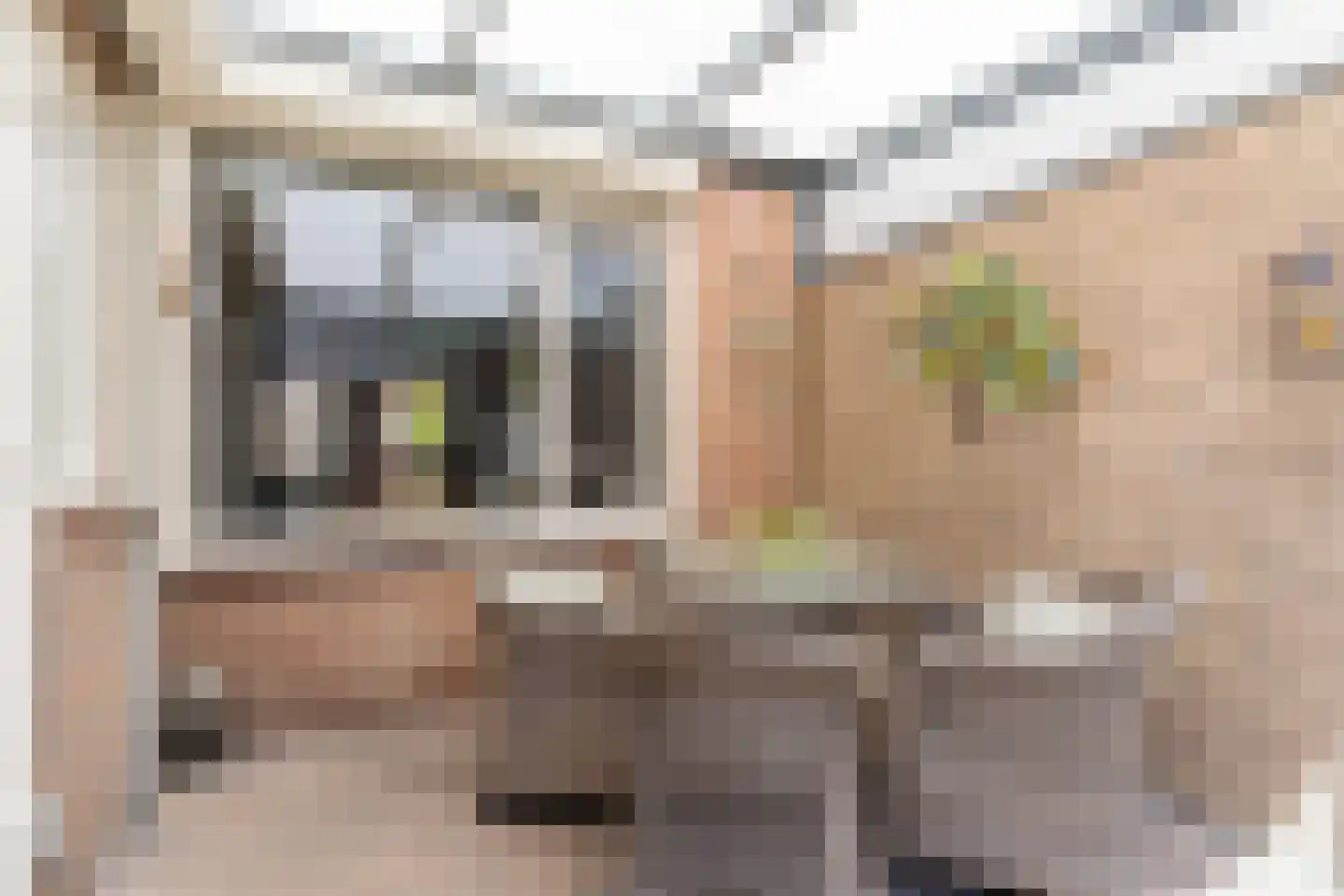 De Doorn 51 Nuenen thumbnail 18