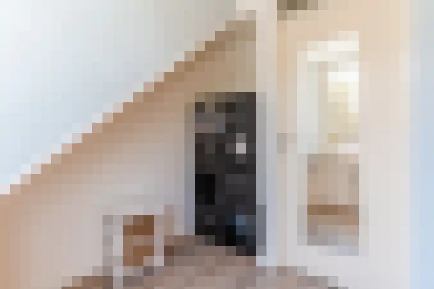 De Doorn 51 Nuenen thumbnail 30
