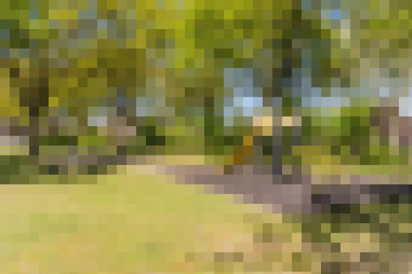 De Doorn 51 Nuenen thumbnail 36