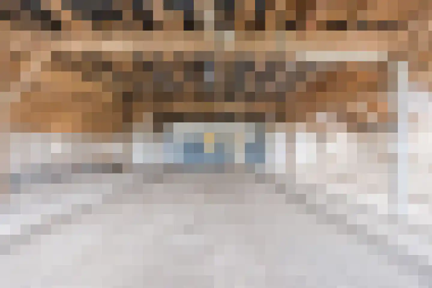 De Doornweg 10 Zwolle thumbnail 24