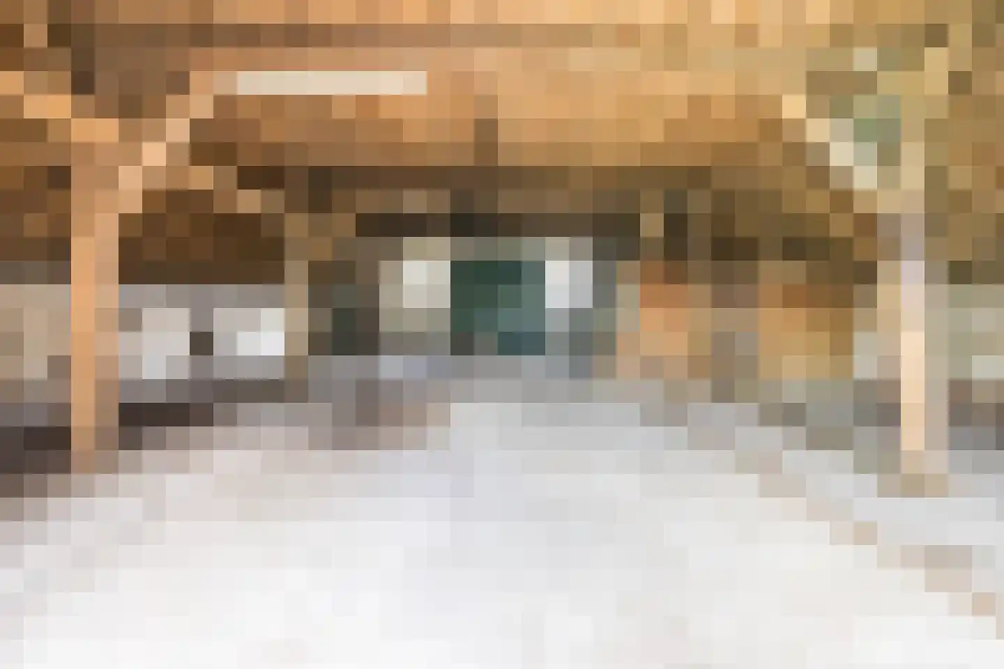 De Doornweg 10 Zwolle thumbnail 33