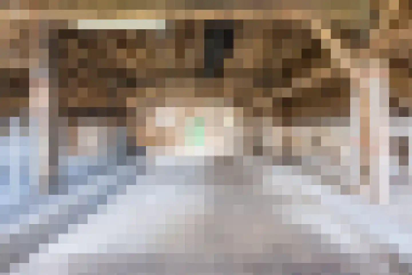 De Doornweg 10 Zwolle thumbnail 34