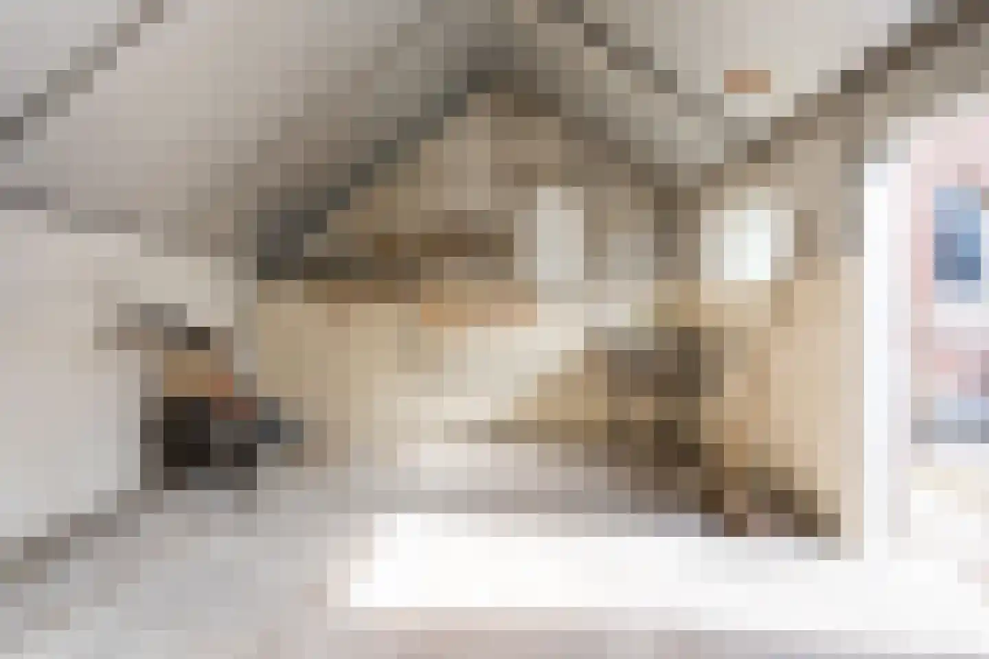 De Doornweg 10 Zwolle thumbnail 36