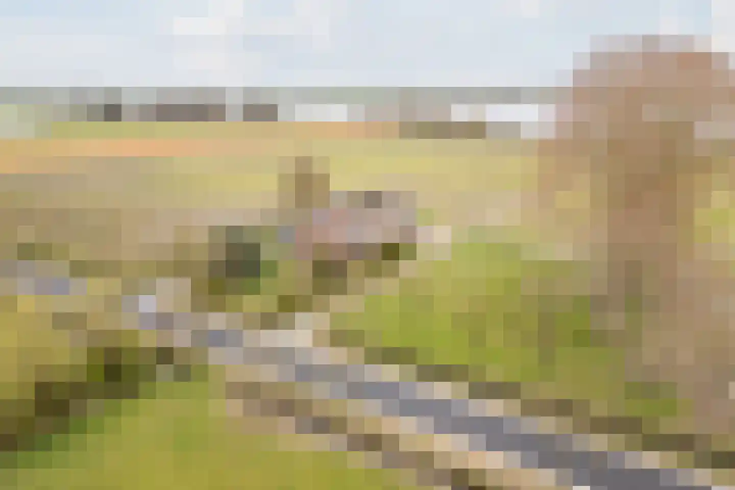 De Doornweg 10 Zwolle thumbnail 39