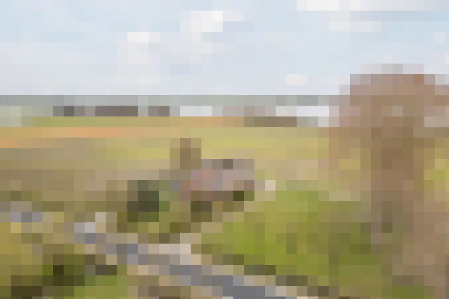 De Doornweg 10 Zwolle thumbnail 4