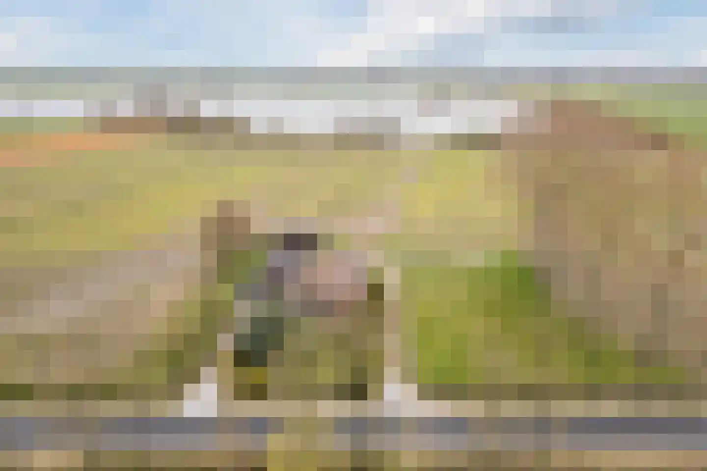 De Doornweg 10 Zwolle thumbnail 40