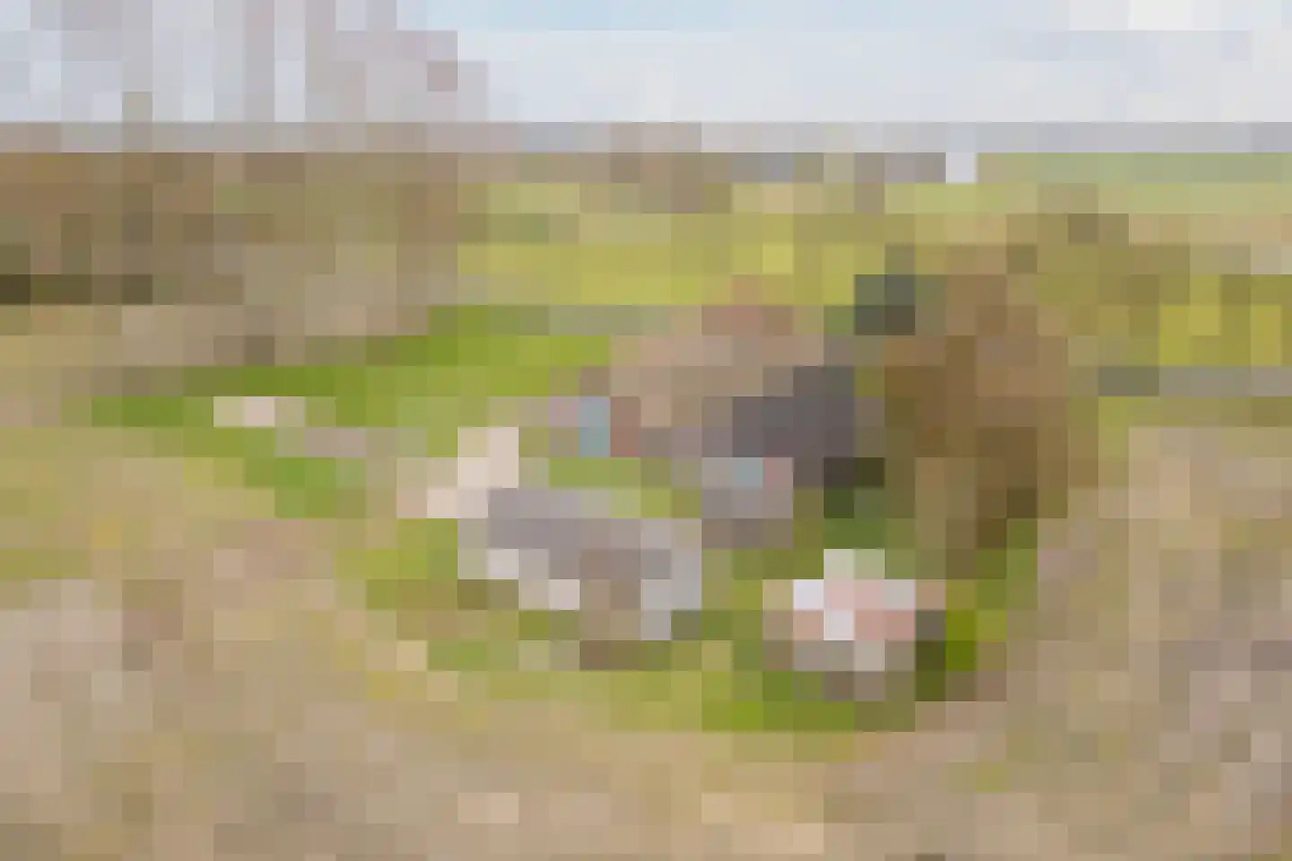 De Doornweg 10 Zwolle thumbnail 43